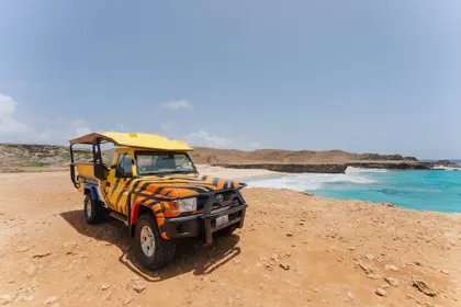 TYLER-CAVALLARO-@TYLERAUA-84-scaled